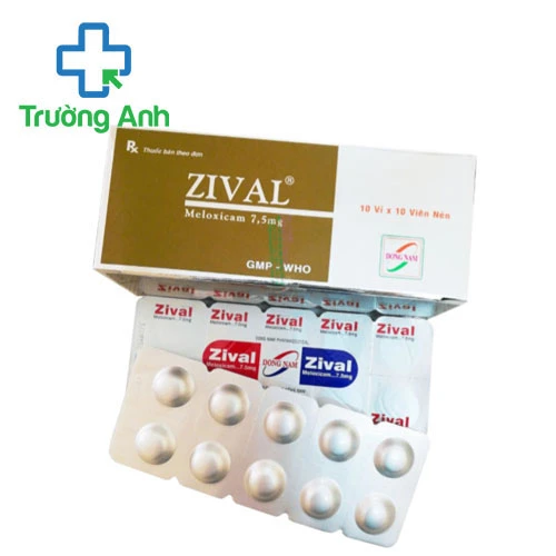 Zival - Thuốc điều trị viêm đau xương khớp hiệu quả