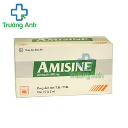 Amisine 500mg Pymepharco - Thuốc điều trị nhiễm khuẩn, nhiễm trùng nặng