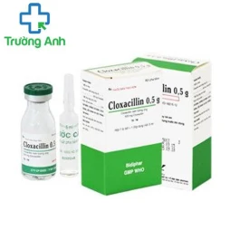Cloxacillin 0,5g Imexpharm - Thuốc điều trị nhiễm khuẩn hiệu quả