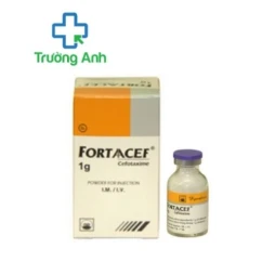 Fortaacef 1g - Thuốc điều trị các bệnh nhiễm khuẩn nặng