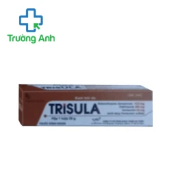 Trisula 20g An Thiên - Thuốc điều trị viêm da do nhiễm khuẩn hiệu quả