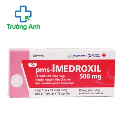 Imedroxil 500mg - Thuốc điều trị nhiễm khuẩn của Imexpharm