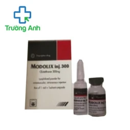 Modolix inj 300 Pymepharco - Hỗ trợ trong điều trị ngộ độc thuỷ ngân