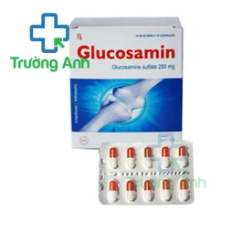 Glucosamin 250mg Quapharco - Thuốc hỗ trợ điều trị viêm khớp gối hiệu quả