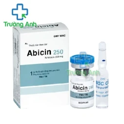 Abicin 250 Bidiphar - Thuốc điều trị nhiễm khuẩn của Bidiphar