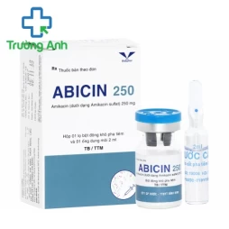 Abicin 250 Bidiphar - Thuốc điều trị nhiễm khuẩn của Bidiphar