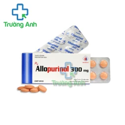 Allopurinol 300mg Domesco - Thuốc điều trị bệnh Gout hiệu quả