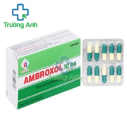 Ambroxol 30mg Domesco (viên nang) - Thuốc điều trị ho, viêm phế quản
