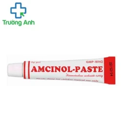 Amcinol - Paste Mekophar - Làm giảm nhanh viêm lợi, viêm miệng, nhiệt miệng