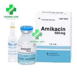 Amikacin 500mg Bidiphar - Thuốc điều trị nhiễm khuẩn đường hô hấp