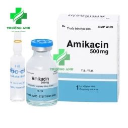 Amikacin 500mg/2ml Pharbaco - Điều trị bệnh nhiễm trùng hiệu quả