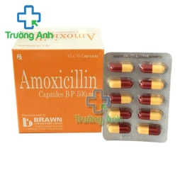 Amoxicillin 500mg Brawn - Thuốc điều trị nhiễm khuẩn của Ấn Độ