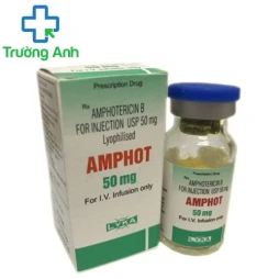 Amphot - Thuốc kháng sinh chống nâm hiệu quả của India