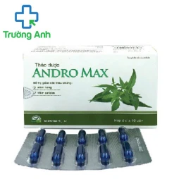 Andro Max - Hỗ trợ điều trị viêm họng, viêm amidan
