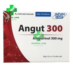 Angut 300 - Thuốc điều trị viêm khớp do gút, sỏi thận của DHG Pharma