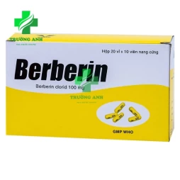 Berberin 100mg Bidiphar - Thuốc điều trị tiêu chảy hiệu quả