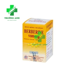 Berberine 100mg Mekophar - Điều trị nhiễm lỵ trực khuẩn hiệu quả