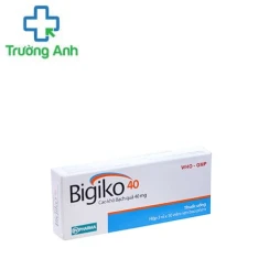Bigiko 80 - Hỗ trợ điều trị thiểu năng tuần hoàn não hiệu quả