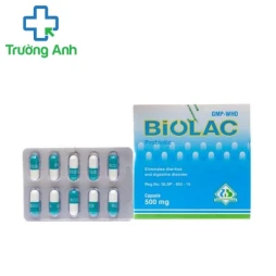 Biosubtyl II 250mg - Thuốc điều trị rối loạn tiêu hóa hiệu quả