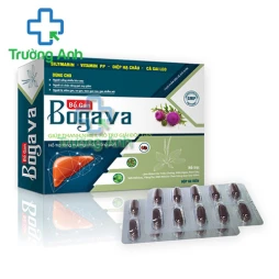 Bổ gan Bogava (vỉ) - Giúp giải độc gan, tăng cường chức năng gan