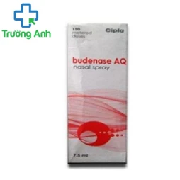 Budenase AQ - Thuốc điều trị viêm mũi dị ứng hiệu quả