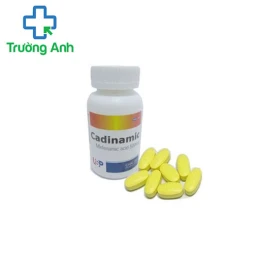 Cadinamic USP (lọ) - Thuốc giảm đau, hạ sốt hiệu quả