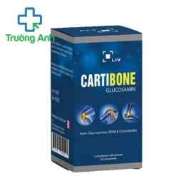 Cartibone (Glucosamin) - Thuốc hỗ trợ bảo vệ xương khớp