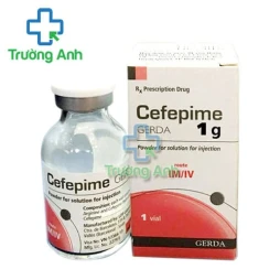 Cefepime Gerda 1g - Thuốc điều trị nhiễm trùng hiệu quả 
