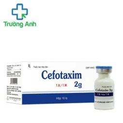 Cefotaxim 2g TV.Pharm - Dùng trong điều trị nhiễm khuẩn hiệu quả