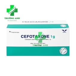 Cefotaxone 1g Bidiphar - Thuốc điều trị nhiễm khuẩn nặng hiệu quả