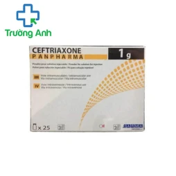 Burometam 2g Panpharma - Thuốc điều trị nhiễm khuẩn đường tiêm