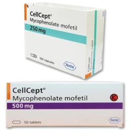 CellCept Roche - Thuốc phòng ngừa đào thải khi ghép các cơ quan