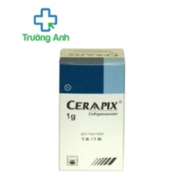 Ceraapix - Thuốc điều trị nhiễm khuẩn hiệu quả của Pymepharco