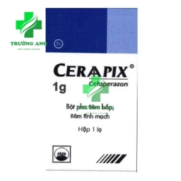 Ceraapix - Thuốc điều trị nhiễm khuẩn hiệu quả của Pymepharco