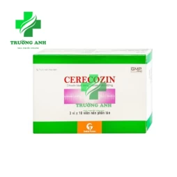 Cerecozin - Điều trị tổn thương đầu, phẫu thuật não, thiếu máu não