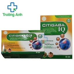 Citigaba IQ - Giúp hoạt huyết, tăng cường tuần hoàn não hữu hiệu