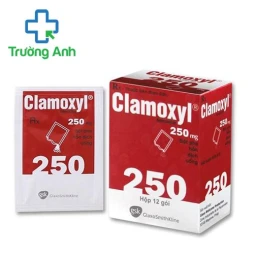 Clamoxyl Sac 250mg - Thuốc điều trị nhiễm khuẩn nặng Pháp