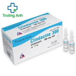 Clindacine 300 Vinphaco - Thuốc điều trị nhiễm khuẩn hiệu quả