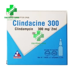 Clindacine 300 Vinphaco - Thuốc điều trị nhiễm khuẩn hiệu quả