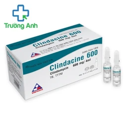 Clindacine 600 Vinphaco - Thuốc điều trị nhiễm khuẩn hiệu quả