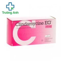 Clindamycin EG 300mg - Thuốc điều trị nhiễm khuẩn của Pymepharco