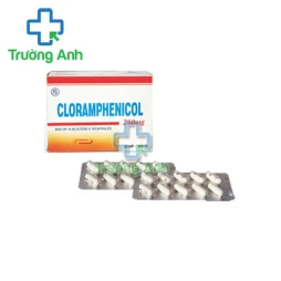 Cloramphenicol 250mg Quapharco - Thuốc điều trị nhiễm khuẩn nặng