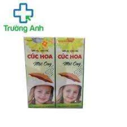 Cúc hoa mật ong - Hỗ trợ điều trị viêm họng, viêm phế quản