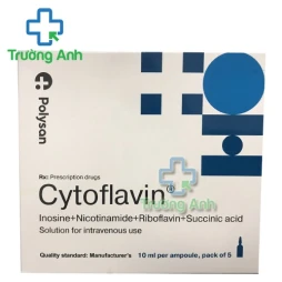 Cytoflavin Polysan - Điều trị rối loạn tuần hoàn não hiệu quả