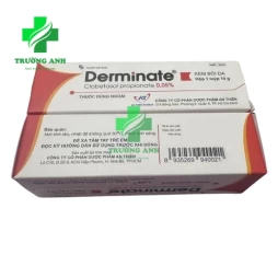 Derminate An Thiên - Thuốc điều trị viêm da tiếp xúc hiệu quả (10 hộp)
