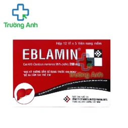 Eblamin - Thuốc hỗ trợ điều trị các bệnh nhiễm độc gan