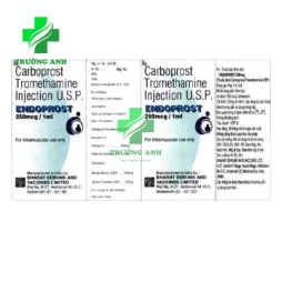 Endoprost-250mcg Bharat - Thuốc điều trị băng huyết sau sinh