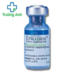Erwinase 10000IU Porton - Điều trị bệnh bạch cầu nguyên bào