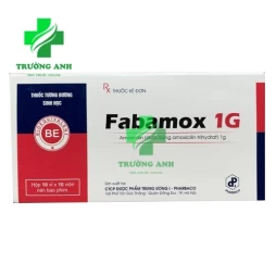 Fabamox 1g - Thuốc điều trị nhiễm khuẩn hiệu quả của Pharbaco