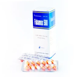 Fabamox 500mg - Thuốc điều trị nhiễm khuẩn hiệu quả của Pharbaco 
